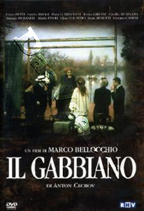The Seagull (DVD)